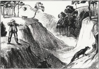 Le renard, 1921, 35x44 cm
