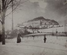 Jardin familial en hiver